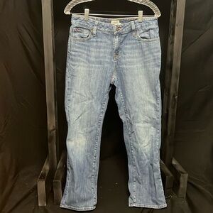 LL Bean- favorite fit petite jeans